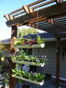 Guttering used for plants